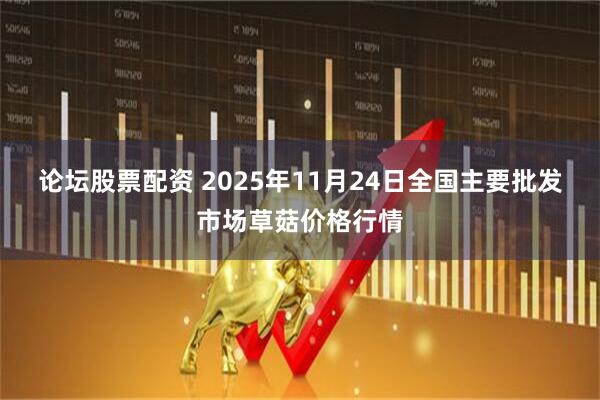 论坛股票配资 2025年11月24日全国主要批发市场草菇价格行情